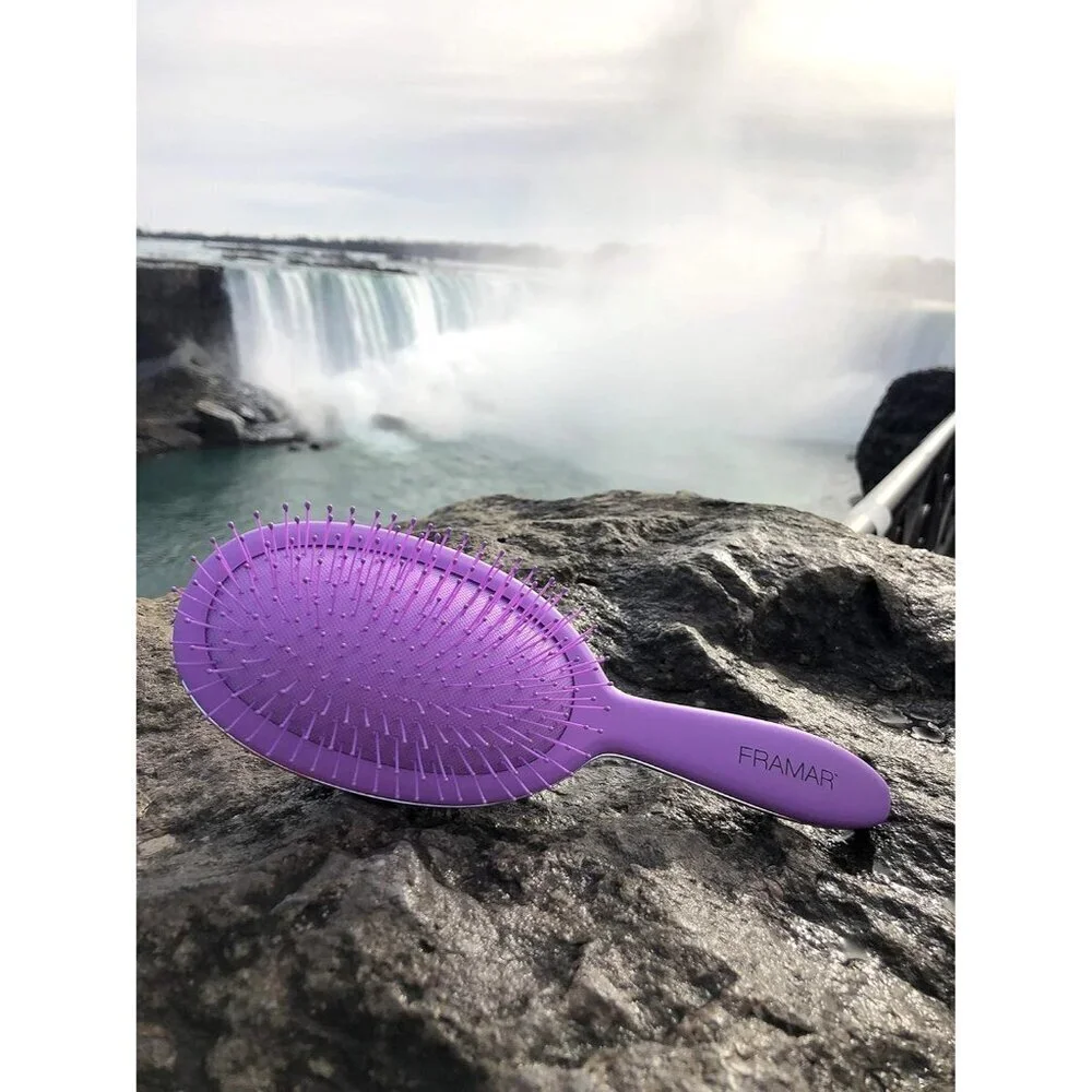 Detangling Brush for Curly Hair – Hair Brushes for Women - Premium Hair Brush Cl